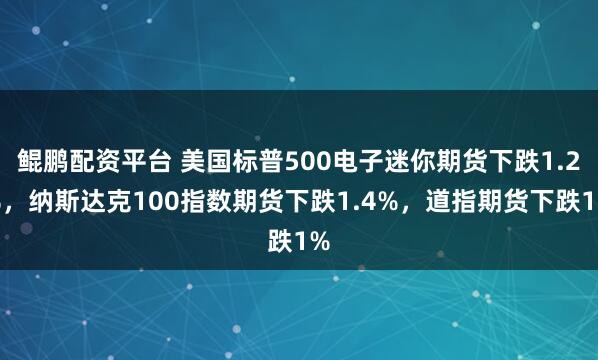 鲲鹏配资平台 美国标普500电子迷你期货下跌1.2%，纳斯达克100指数期货下跌1.4%，道指期货下跌1%