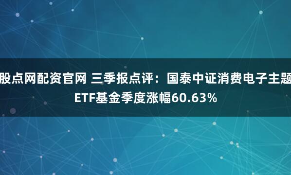股点网配资官网 三季报点评:国泰中证消费电子主题ETF基金季度涨幅60.63%
